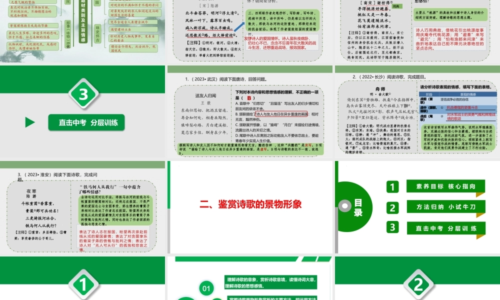 中考语文专题复习：古诗阅读复习