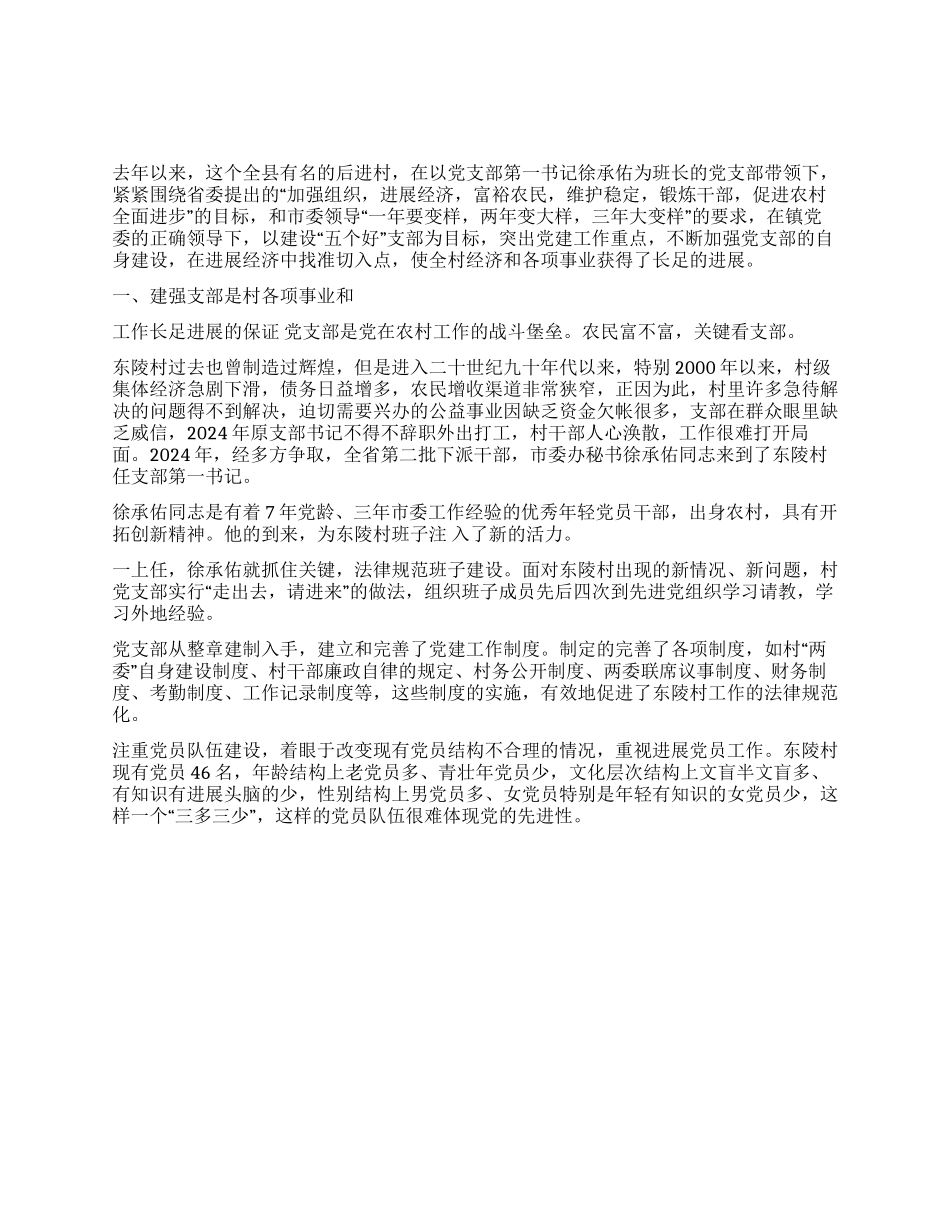 XX镇XX村党支部先进事迹_第1页