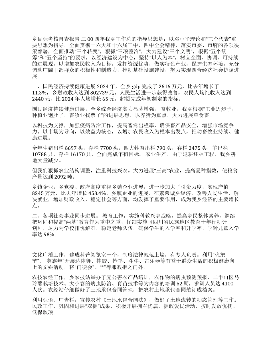×乡目标考核自查报告_第1页