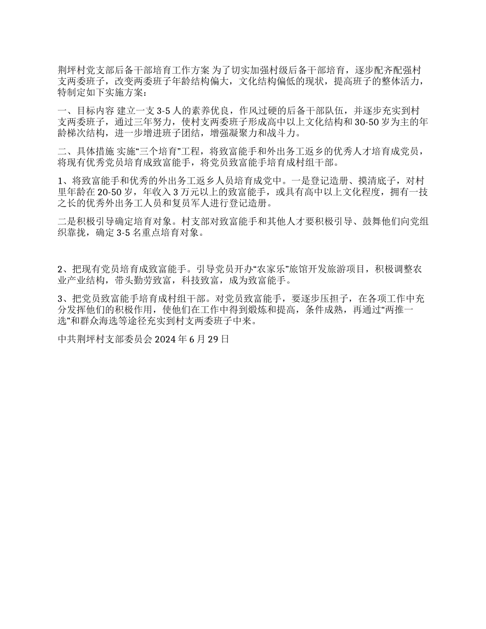 ×村党支部后备干部培养工作方案_第1页
