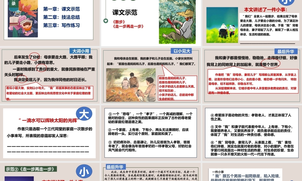 专题6 审题立意之以小见大