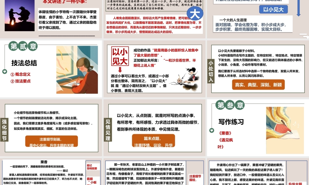专题6 审题立意之以小见大