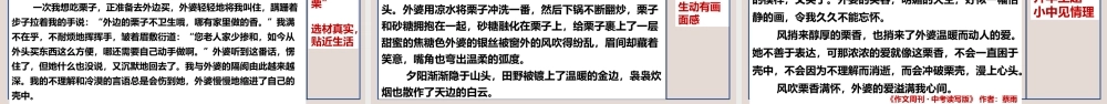 专题6 审题立意之以小见大