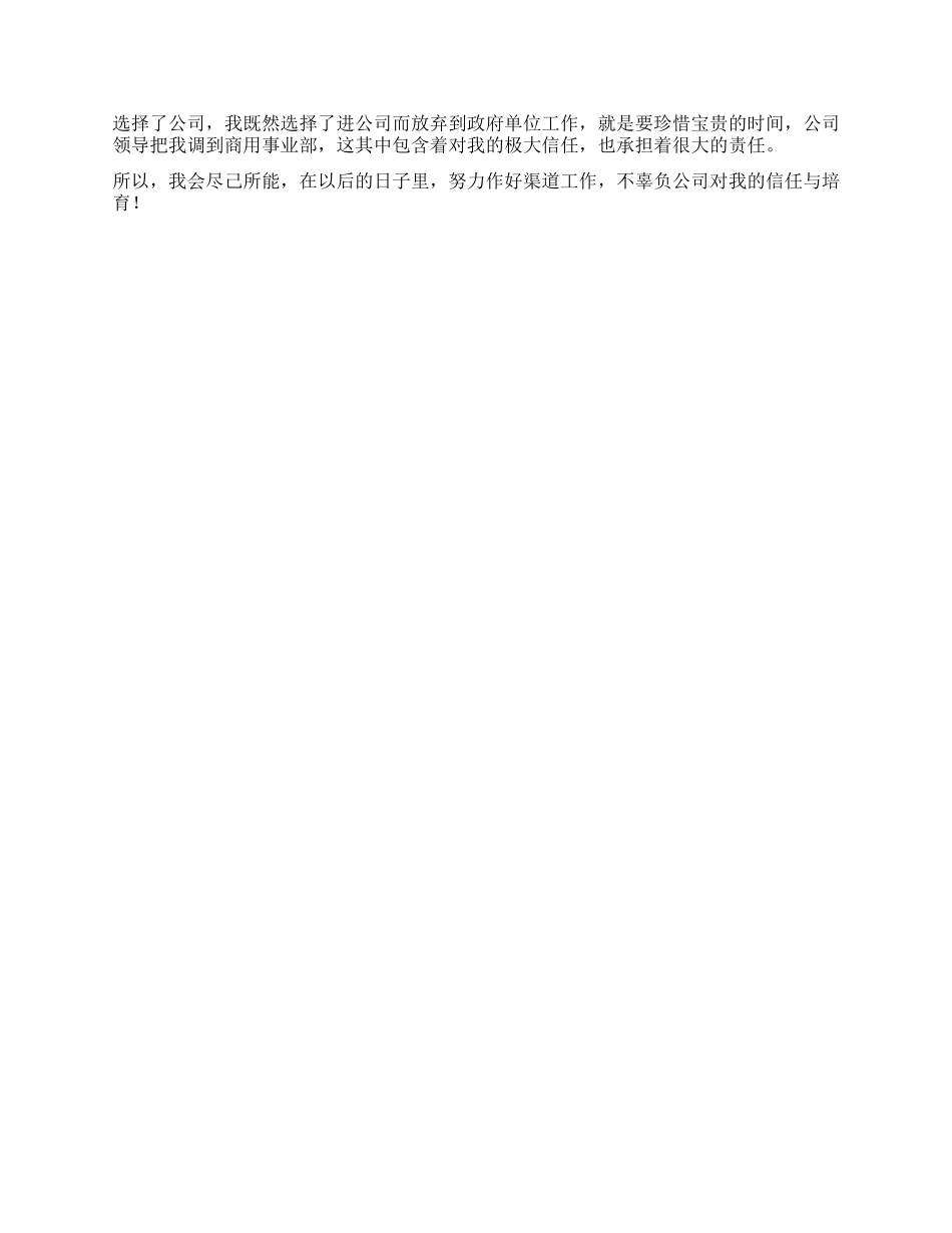 ×销售渠道业务代表2002年终工作总结_第3页