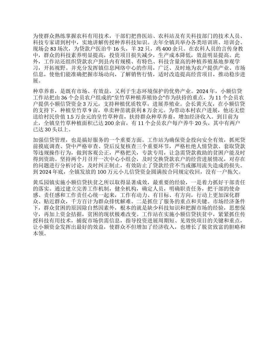 ×镇开展小额信贷扶贫的调查_第2页