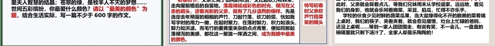 专题8 审题立意之化实为虚