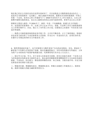 “2024年业务员个人计划范文个人工作计划