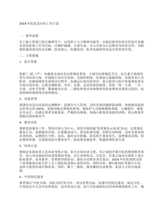 “2024年医院急诊科计划医院工作计划