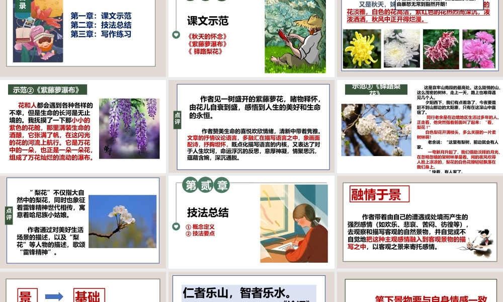 专题16 景物描写之情景交融