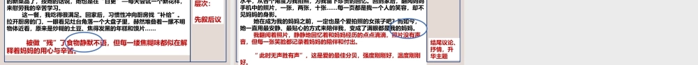 专题17 语言表达之夹叙夹议