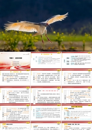 专题十《记叙文阅读》