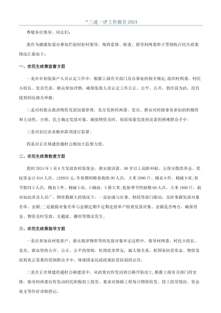 “三述一评工作报告2024