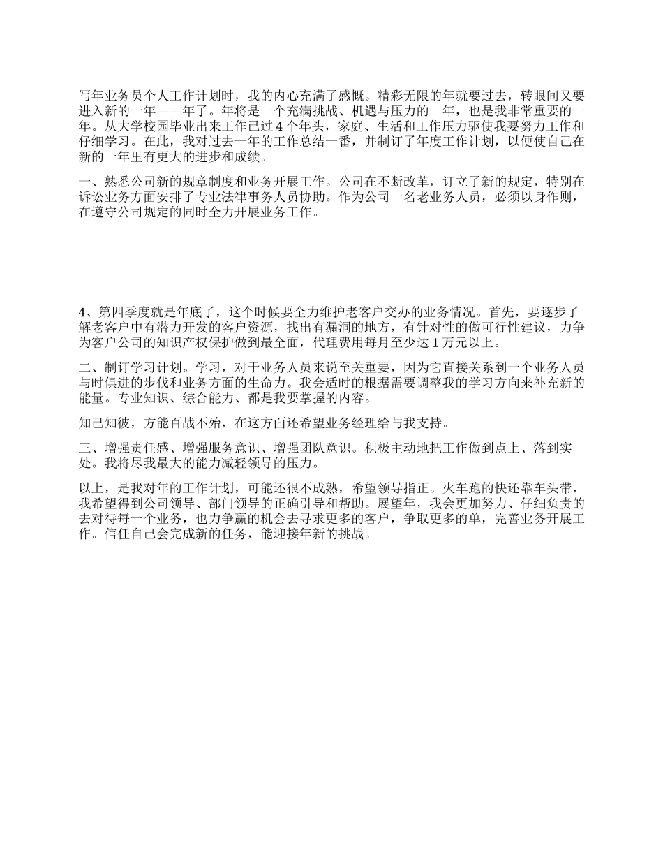 “业务员年度工作要点打算个人工作计划_第1页