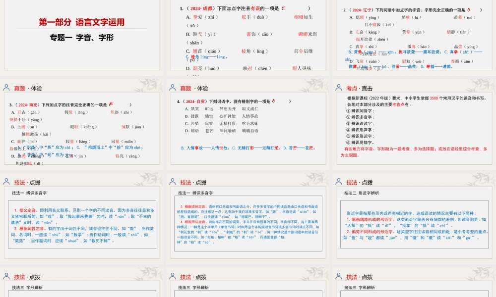 专题一  字音字形