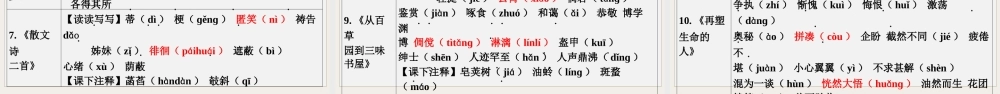 专题一  字音字形