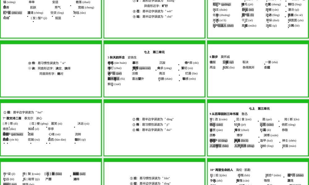 专题一《字音字形》
