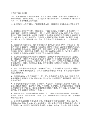 “区政府干部选派计划政府工作计划