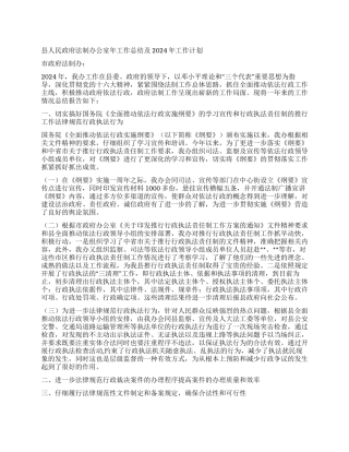 “县政府法制办公室总结及计划政府工作计划