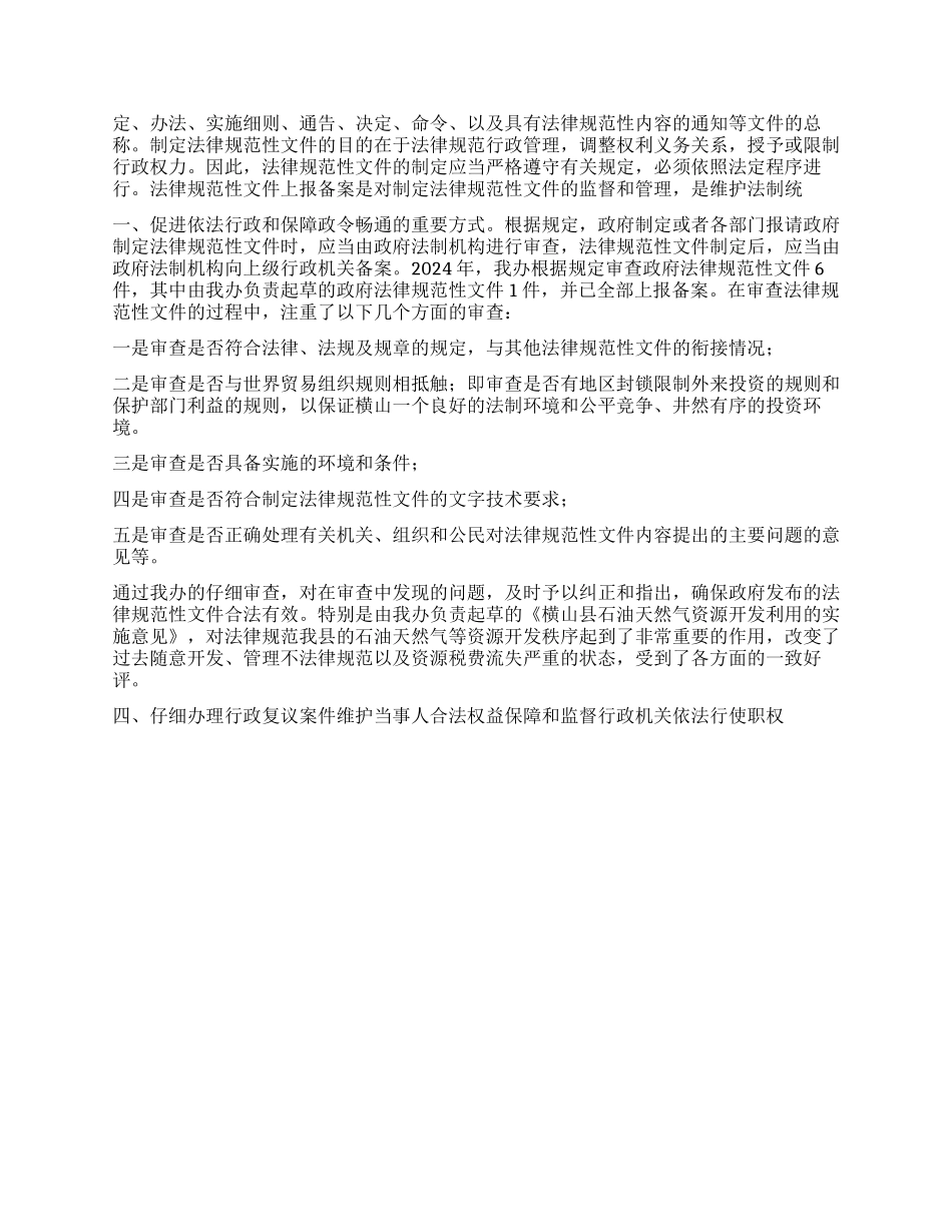 “县政府法制办总结及计划政府工作计划_第2页