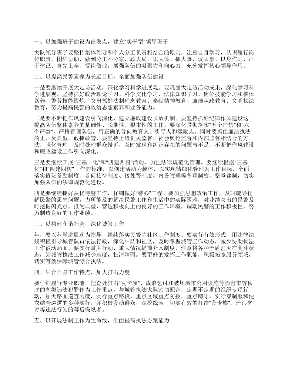 “城管支队工作安排政府工作计划_第1页