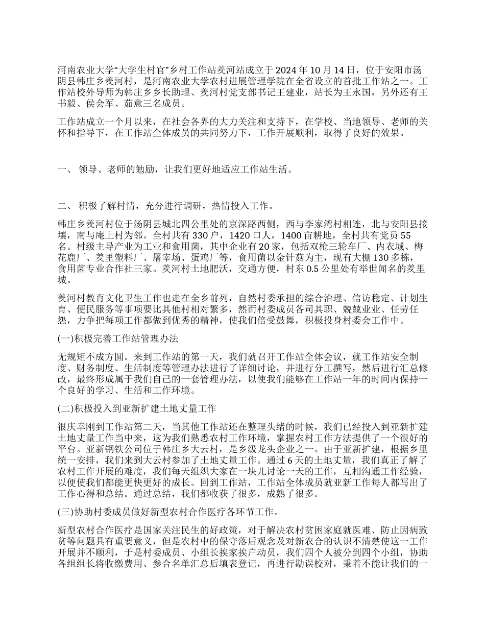 “大学生村官乡村工作站工作总结_第1页