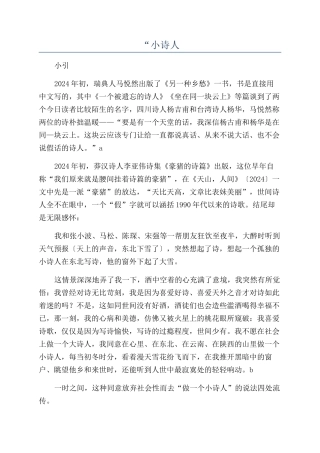 “小诗人-精品文档