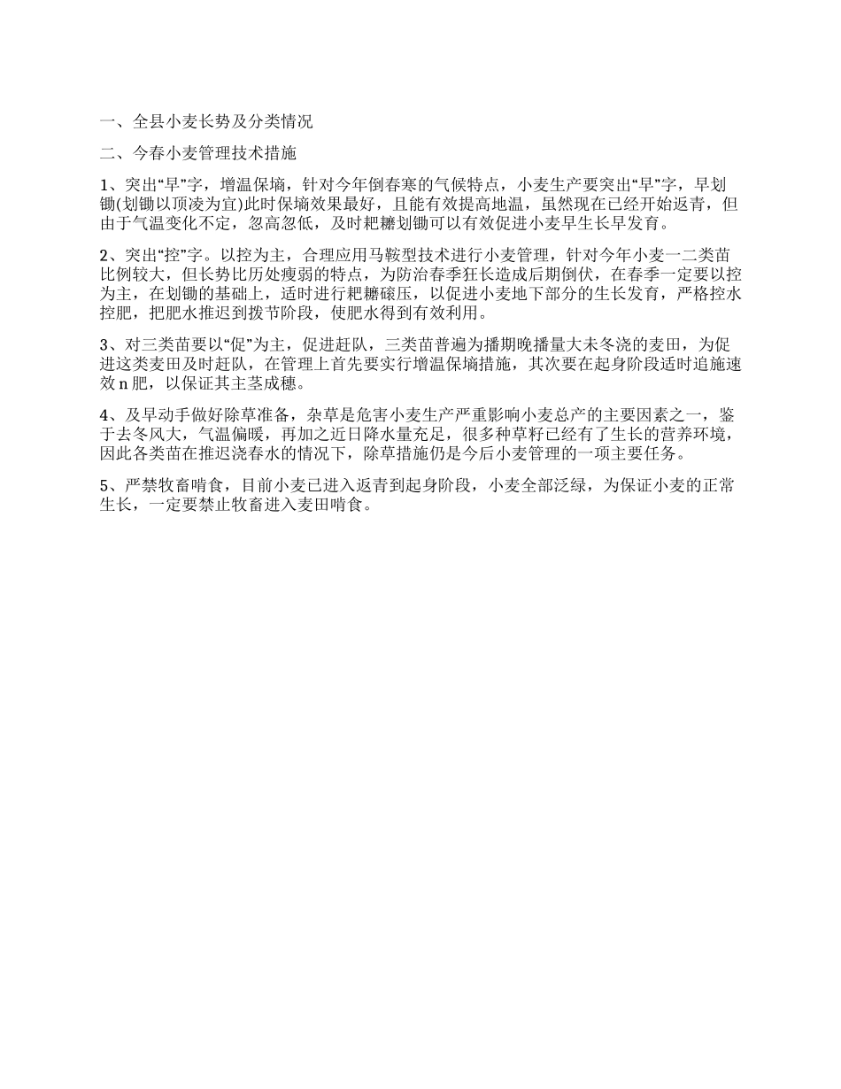 “小麦春管技术安排政府工作计划_第1页