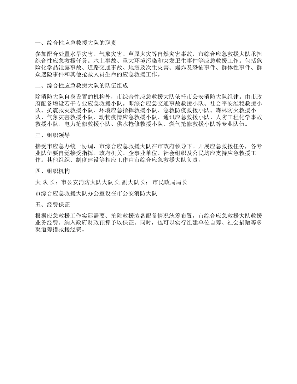 “成立综合救急大队工作计划政府工作计划_第1页