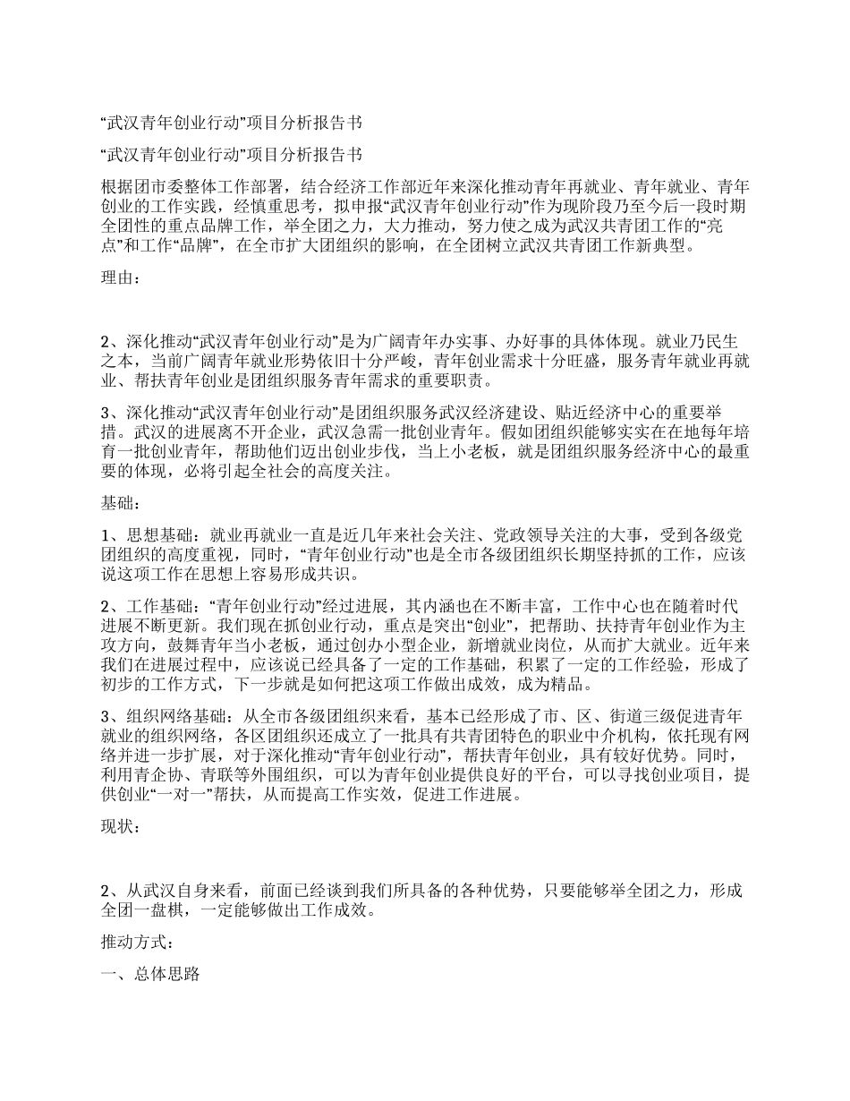 “武汉青年创业行动项目分析报告书_第1页