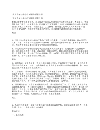 “武汉青年创业行动项目分析报告书