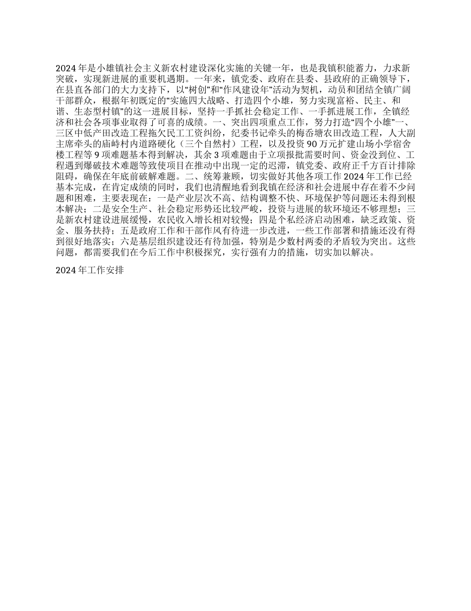 “镇党委政府总结及计划政府工作计划_第1页