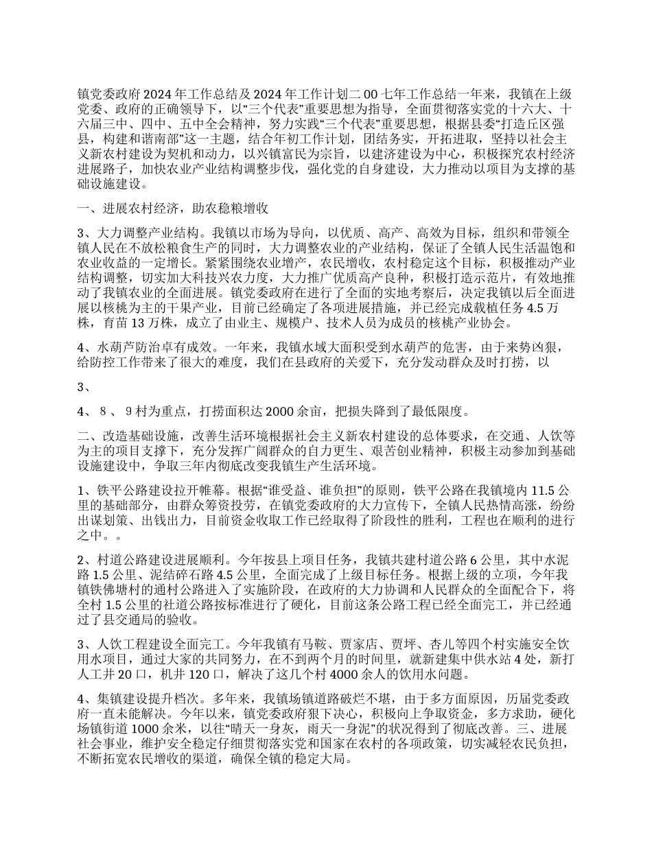“镇党委政府总结及镇党委政府计划政府工作计划_第1页