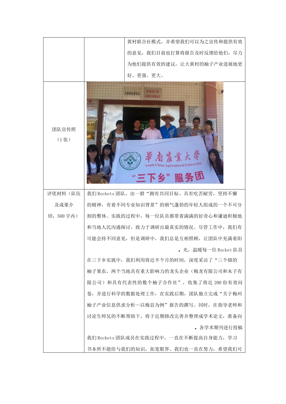 《2024年暑期“三下乡”社会实践活动优秀团队申报表》--张娟_第2页