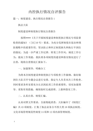 内控执行情况自评报告