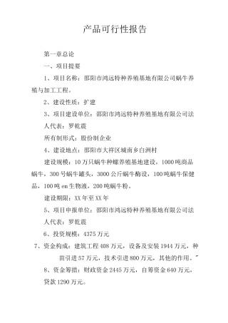 产品可行性报告