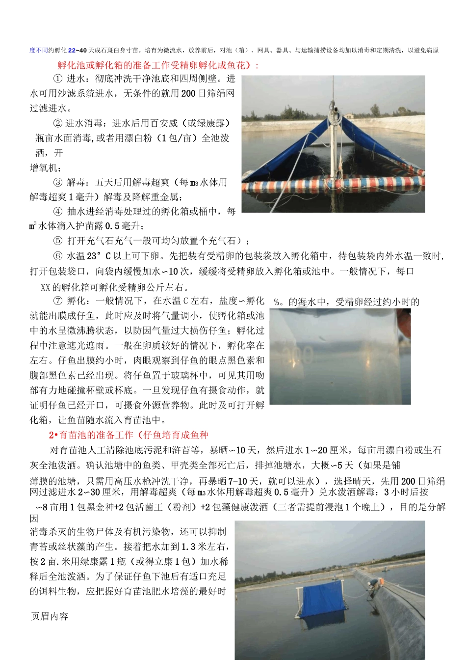 石斑鱼人工育苗技术经验_第2页