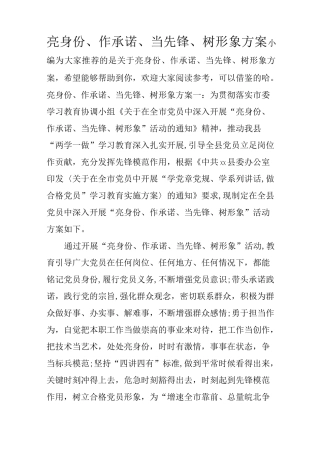 亮身份、作承诺、当先锋、树形象方案