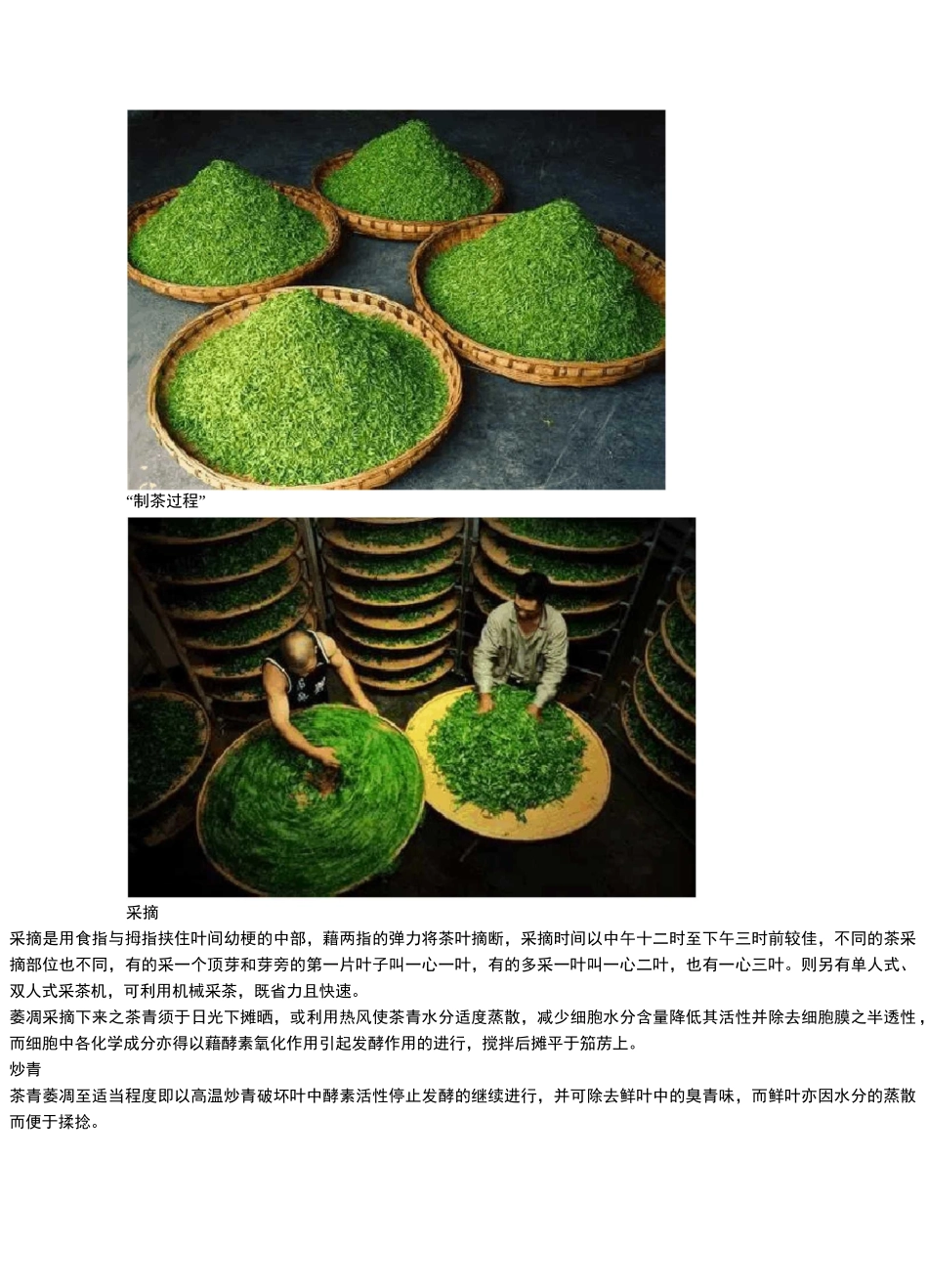 最详细的制茶过程图解_第2页