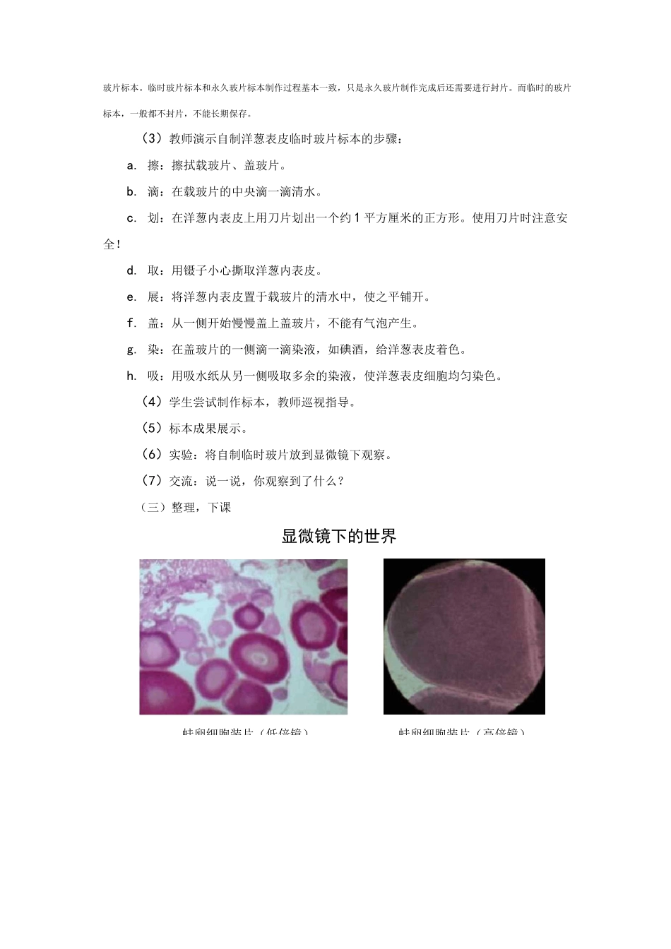 2022年新湘科版科学五年级下册《洋葱表皮的秘密》教案_第3页