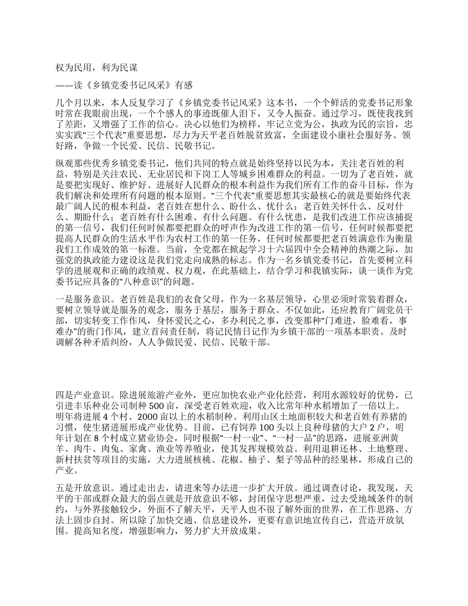 《乡镇党委书记风采》读后感_第1页