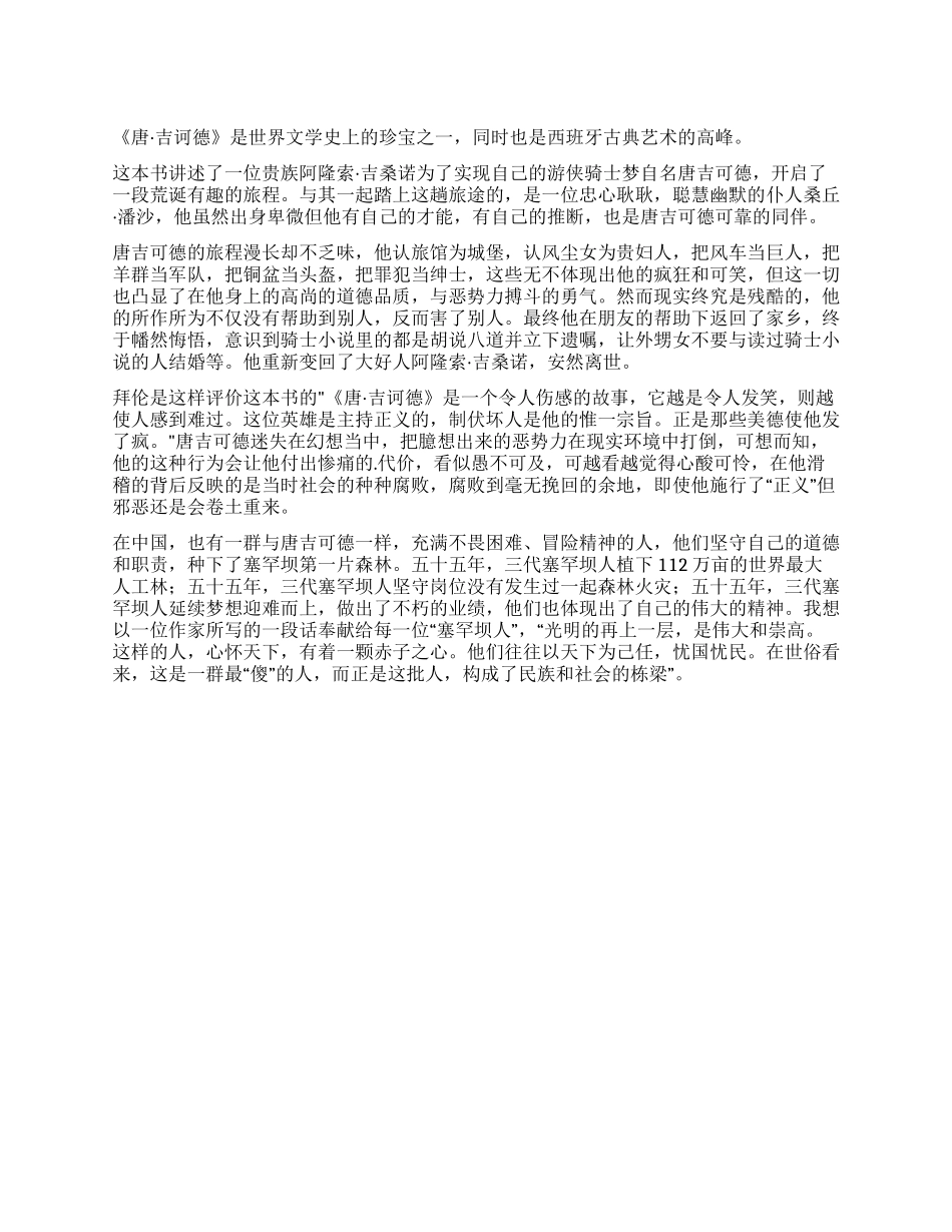 《唐吉可德》读后感_第1页