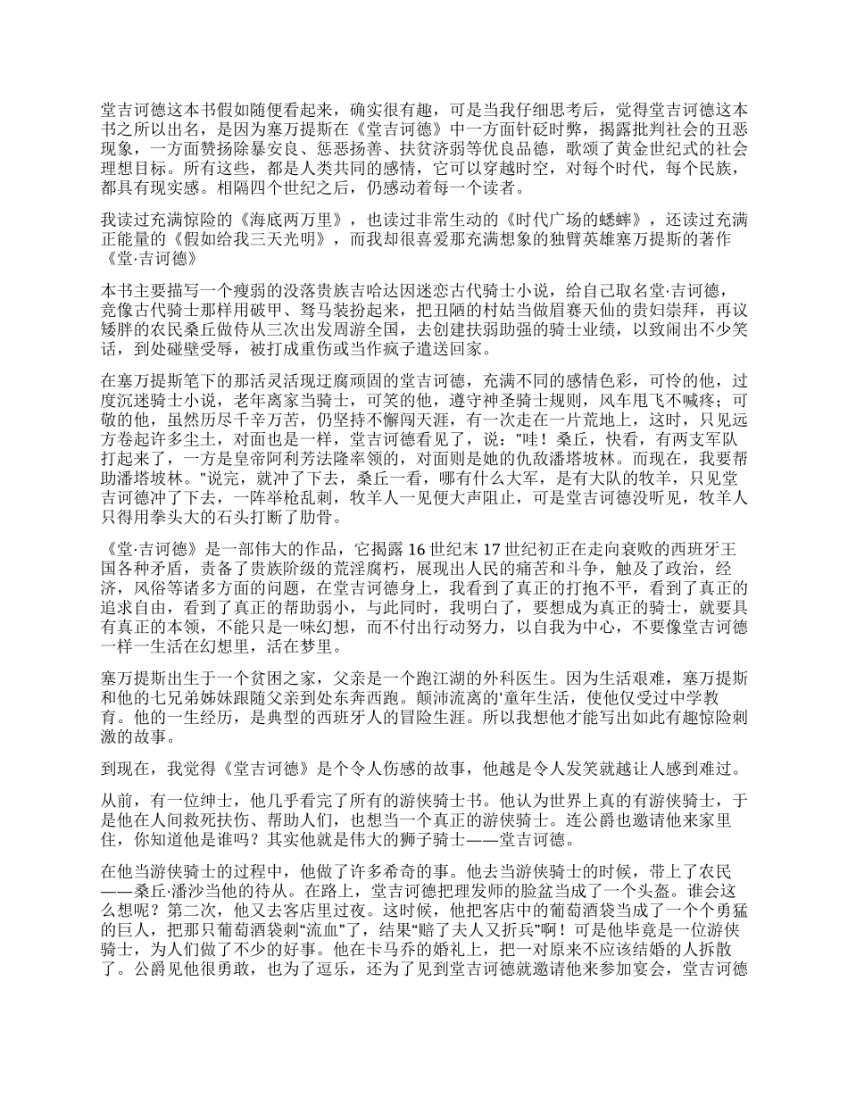 《堂吉诃德》读后感_第2页
