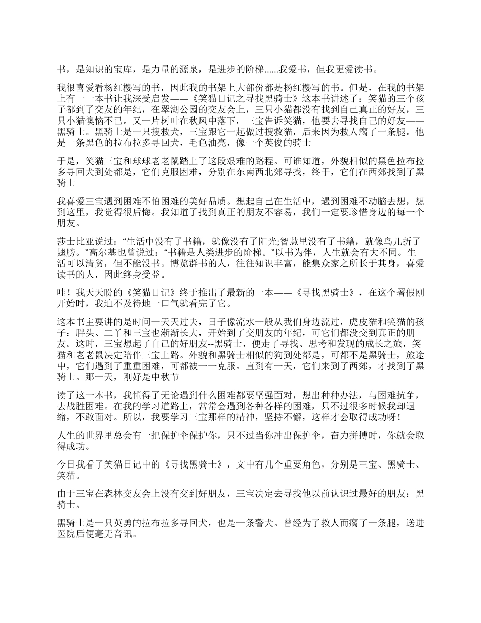 《寻找黑骑士》读后感_第1页