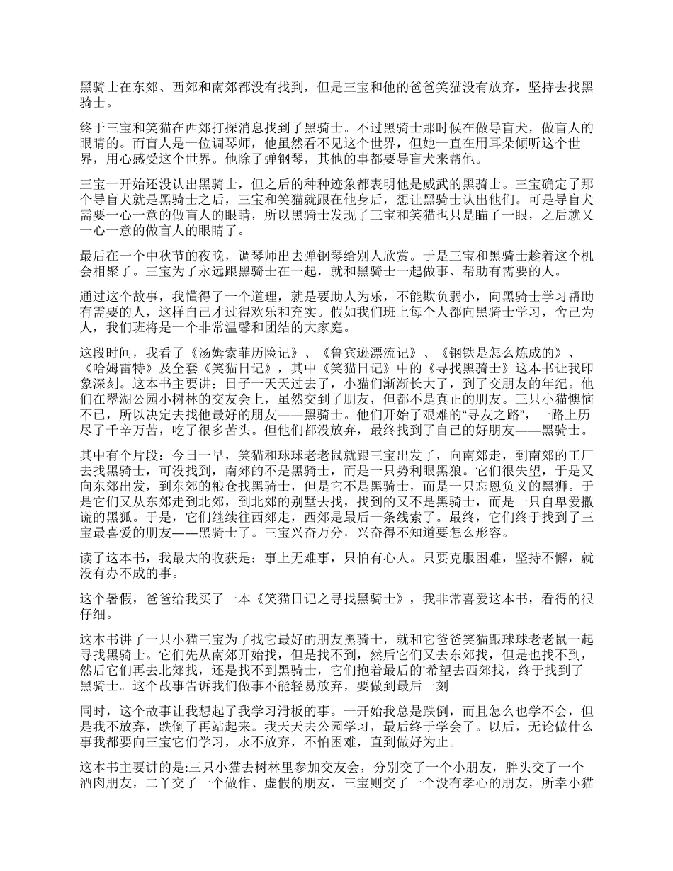 《寻找黑骑士》读后感_第2页