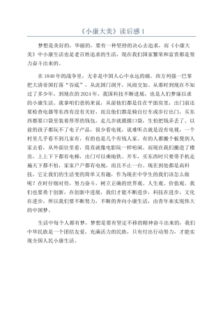 《小康大美》读后感1