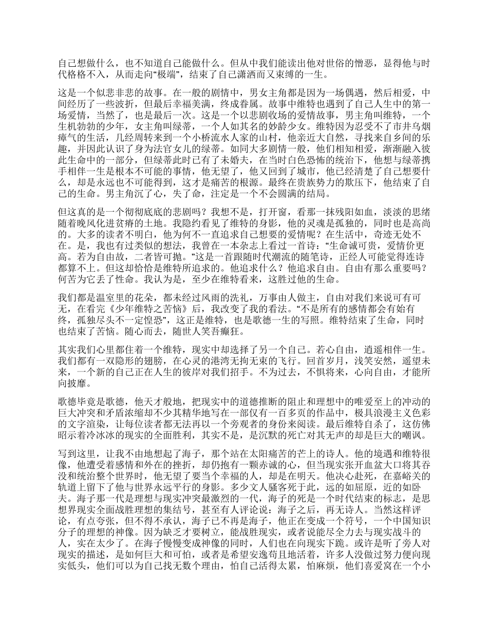 《少年维特之烦恼》读后感_第2页