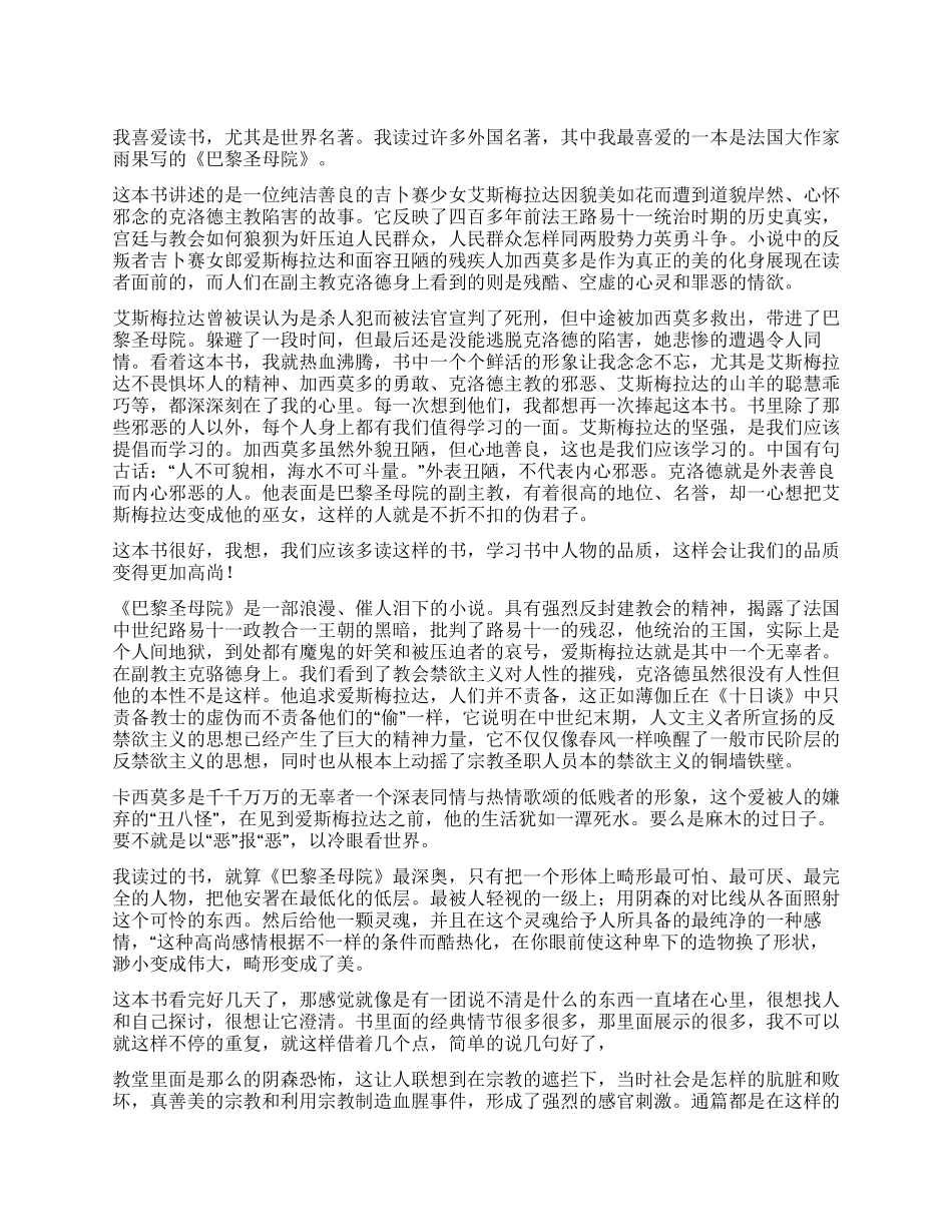 《巴黎圣母院》读后感700字_第1页