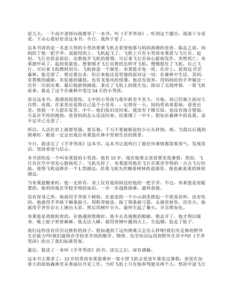 《手斧男孩》读后感_第1页