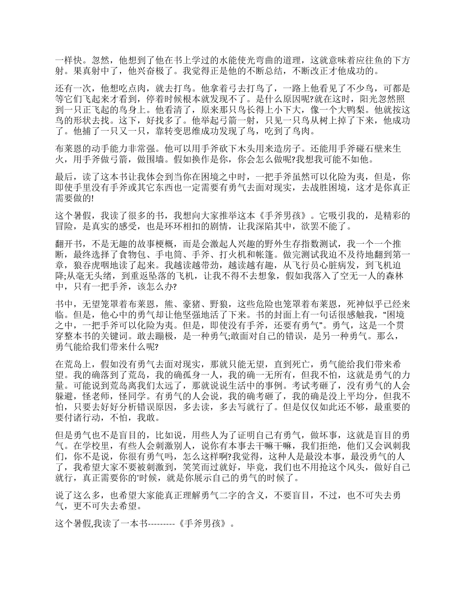 《手斧男孩》读后感_第3页