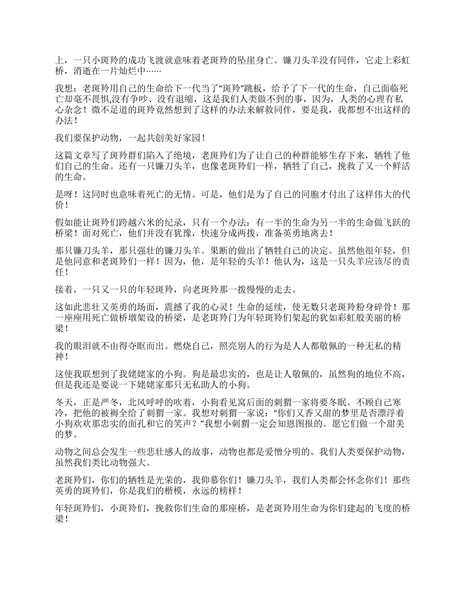《斑羚飞度》读后感_第3页